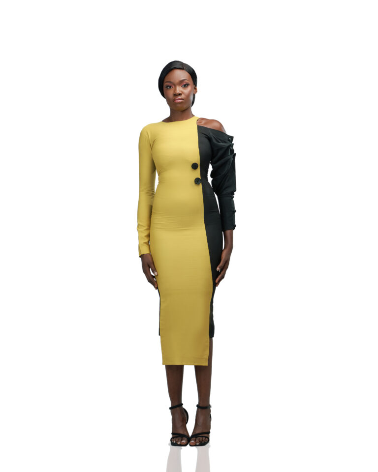 Divina Dual-Tone Statement Dress