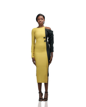 Divina Dual-Tone Statement Dress